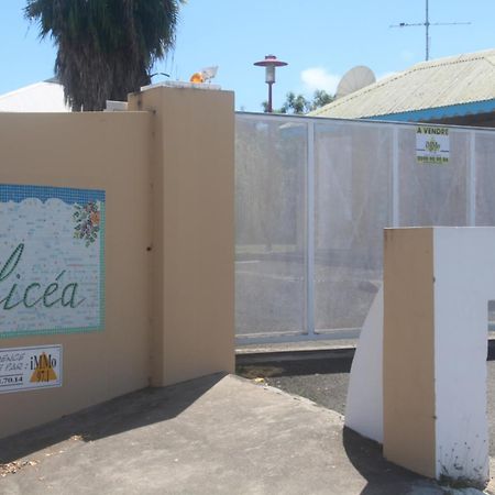 Les Aliceas Appartement Cosy Baie-Mahault Exterior foto